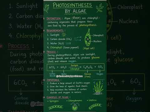 photosynthesis by algae #NutritionInPlants #ScienceMCQ #Biology #ScienceTeacher #Class7Science