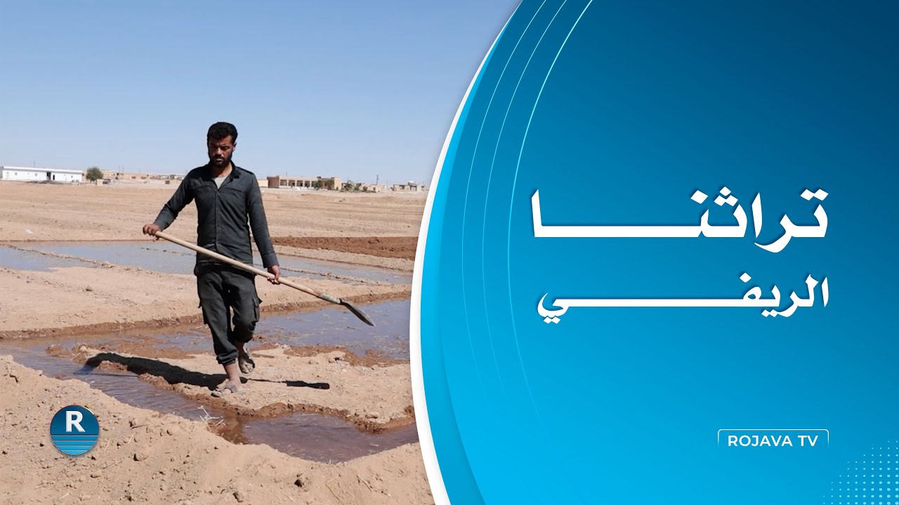 قرية بريف الرقة تعتمد على زراعة المحاصيل البعلية فقط بسبب ملوحة المياه الجوفية