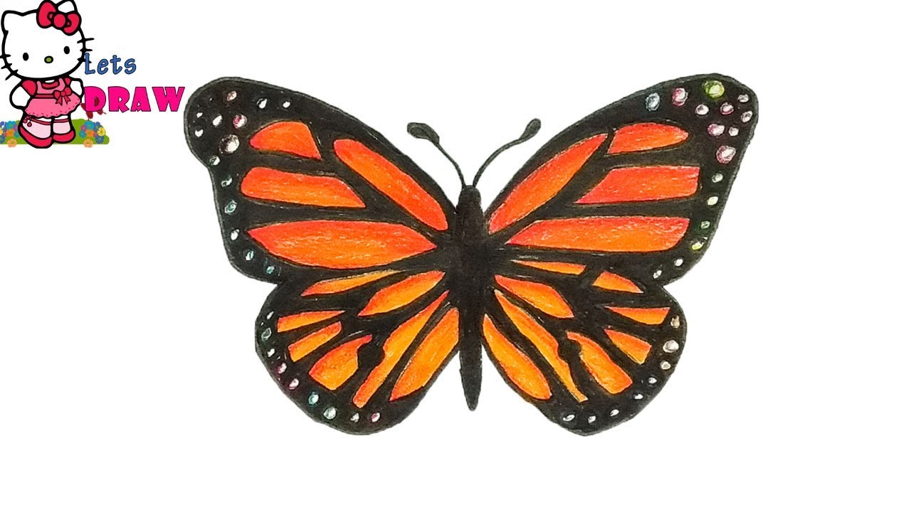Draw A Butterfly How To Draw A Butterfly Step By Step Very Easy Youtube