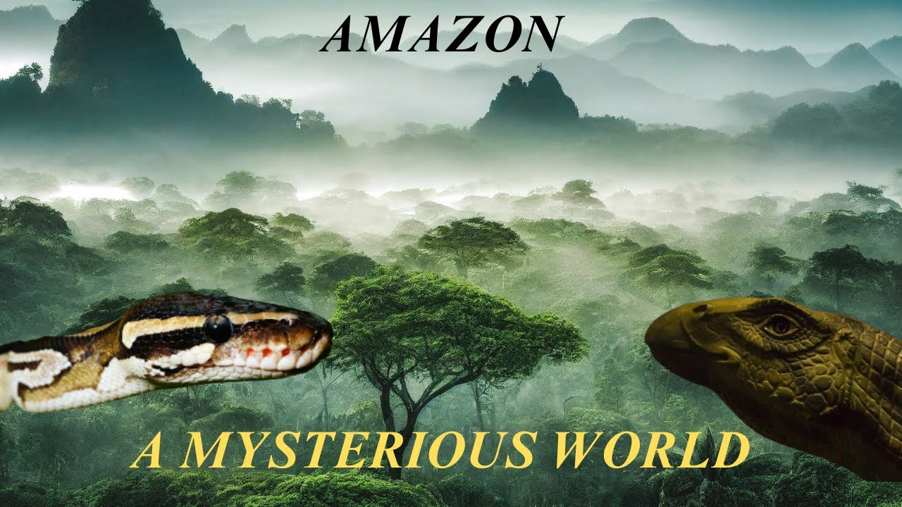 The Hidden Mysteries of AMAZON FOREST - YouTube