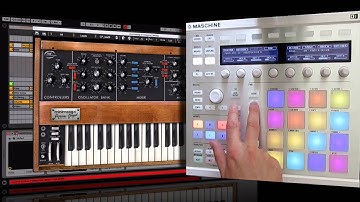 Using Scales Mode In Maschine with Ableton