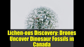 Lichen-ous Discovery: Drones Uncover Dinosaur Fossils in Canada