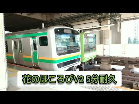花のほころびV2 5分耐久
