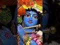 🙏jag ghoomeya thare jaisa na koi♥️✨