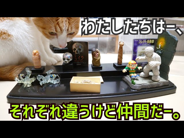 第二弾】ミイラフィギュアを集めてみた☆ - YouTube