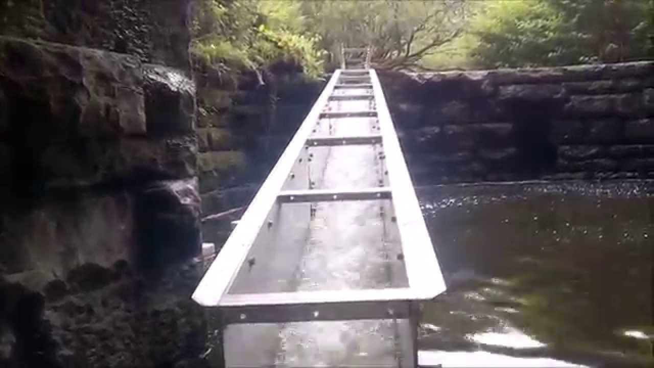 Building a fish pass   Kirklees Brook, River Irwell, NW UK