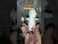 Pintando Pokémones part.2 #impresion3d #pokémon #3dprint #diy #manualidad