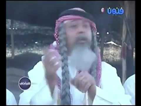 طير الحمامي