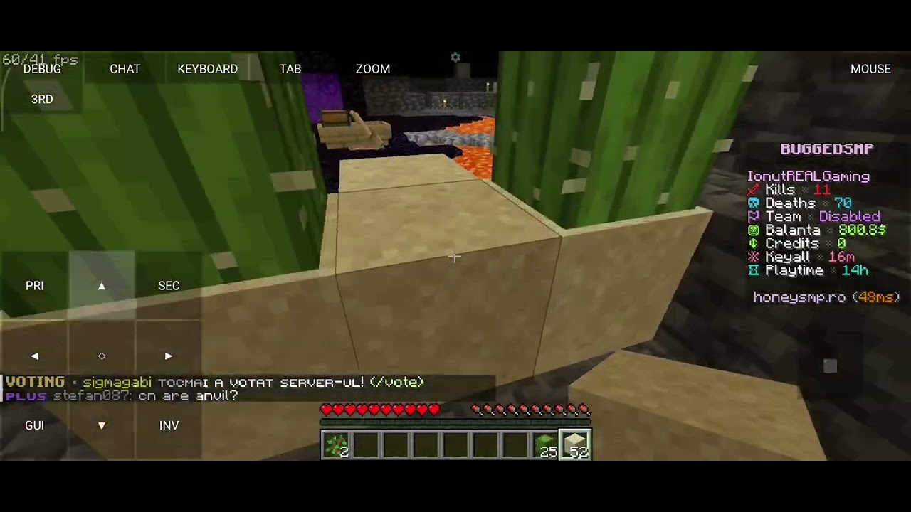 Putin farmat pe HoneySMP