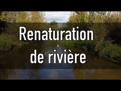 La renaturation des rivières, une solution pour retrouver un bon état des eaux