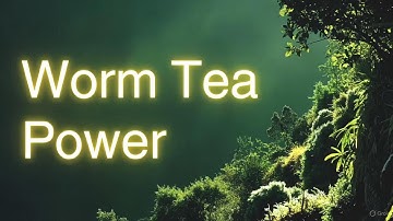 Worm Tea Secrets Boost Your Garden Instantly with This Nutrient Elixi
