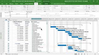 PR-01-27 — Customize Task Bars with Cost Fields and Labels in Microsoft Project