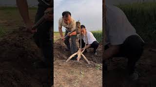 You Won’t Believe What Happened Next! 😱This Will Change Your Life 😳 | Must Watch![ Parts  :- 70 ]