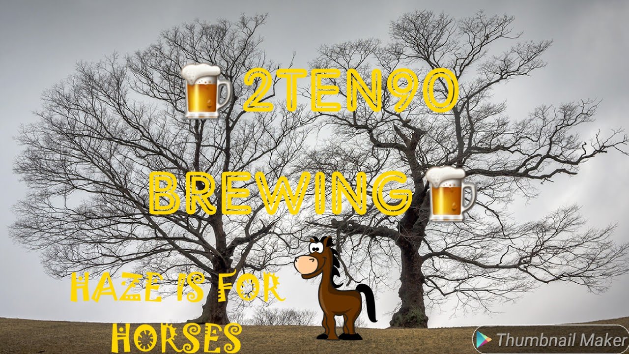 "Haze Is for Horses" 2ten90 Brewing