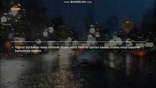 Nereden Geliyor Bu Toprak Kokusu? Toprak Kokar Mı ? https://ziraatadair.blogspot.com/