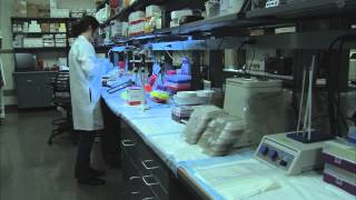 Baseline Killer DNA Part 3