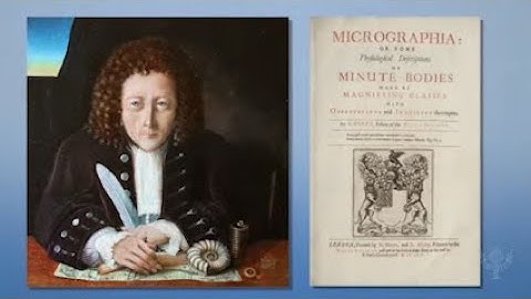 Study This! Robert Hooke and the First Microscope | Encyclopaedia Britannica