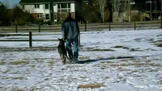 DSCN3288.AVI