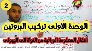 دروس العلوم باكl تركيب البروتين 2 انتقال المعلومة الوراثية من النواة الى الهيولى