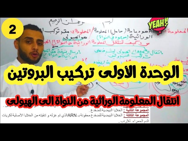 دروس العلوم باكl تركيب البروتين 2 انتقال المعلومة الوراثية من النواة الى الهيولى