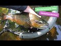 Euro nymphing for brown trout on the derbyshire derwent