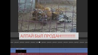 ДЕРЖИ ВОРА! Полная 5 часть уже в ВК и на ДЗЕНЕ