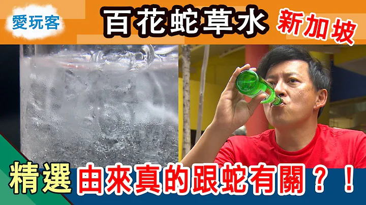 【新加坡】消暑聖品百花蛇草水  跟百花蛇的關係是....！？愛玩客詹姆士 精華 - 天天要聞