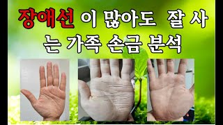 장애선 이 많아도 천운으로 잘 살아가는 가족 손금 분석 편입니다 바둑 영제 아들과 엄마의 손금 분석