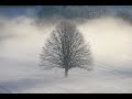 Richard blackford  christmas dawn played by simon callaghan