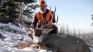 The Fiasco | Public Land Mule Deer | 🎬 GRITTY 4K FILM
