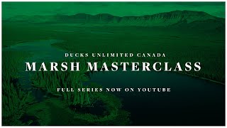Marsh Masterclass Vol 8 – Waterfowl Identification 201