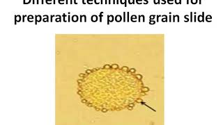 Different techniques used for prepareation of pollen grain slides (Part -1)