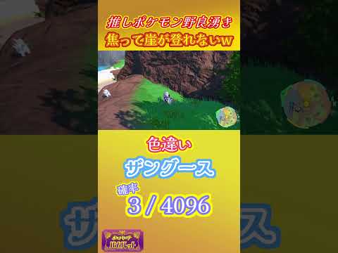 推しポケ野良遭遇 #ポケモンsv #ポケモン #Pokémon