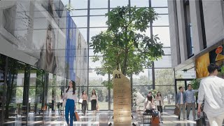 Download Lagu AUO Corporate Image video – Tap Into The Possibilities MP3