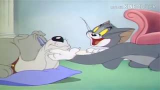 Tom gives sleeping pills to spike the dog and jerry tries wake him up
so he can protect from tom. puts bomb under woke up, p...