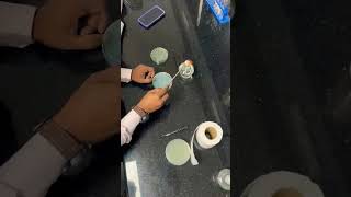 Pure culture 🧫. #microbiology #ecoli #bacteria #tutorial