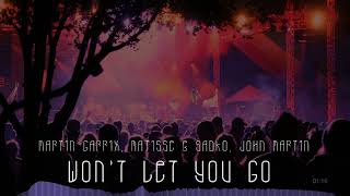 Martin Garrix - wont let you go DJ Datta Mashup