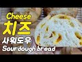 콜비잭치즈빵 너무 맛있어요 Colby Jack Cheese sourdough bread