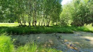 Relaxing Nature Sounds - Forest Sounds, Water Sounds, Bird song