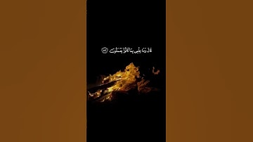 الشيخ ياسر الدوسري سورة الشعراء