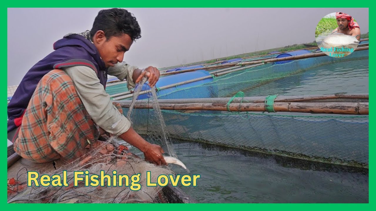 Fishing Video || Amazing Rural Fishing Video | Best Asian Fishing Technique And Real Fishing Lover