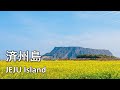韓国旅行先、済州島(チェジュ島)を紹介します！ㅣ韓国旅行、韓国旅行