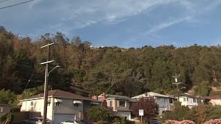 Remaining evacuated residents in Oakland Hills fire allowed back home Sunday night