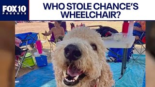 Disabled dog's wheelchair stolen; family shocked by theft | FOX 10 Phoenix