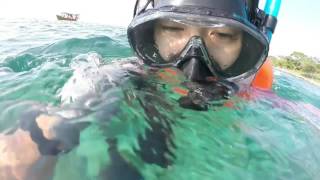 spearfishing koh tang