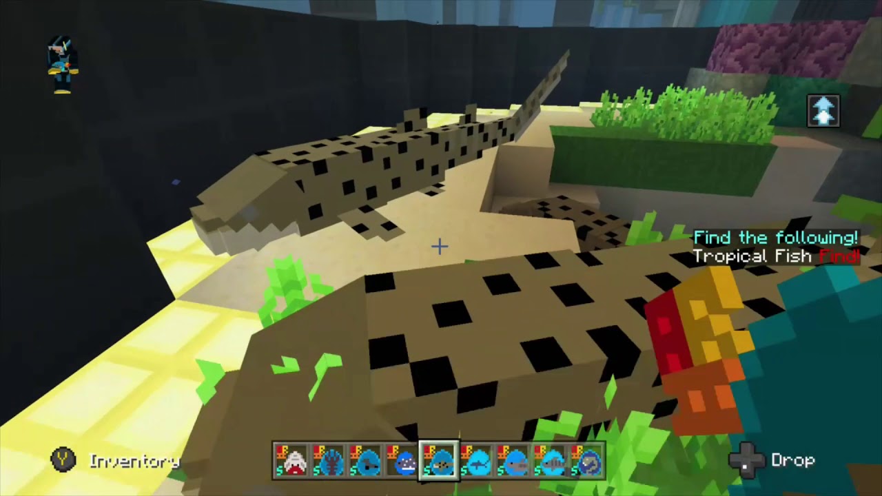 Asians roof team: sea and ocean review