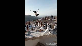 Download Lagu FILO GUVERCINLERI..(Mehmet Alpay) MP3