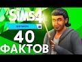 40 Фактов об игровом наборе "The Sims 4 Мир магии"