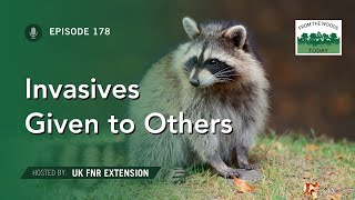 Invasive Species Given to Others - From the Woods Today - Episode 178