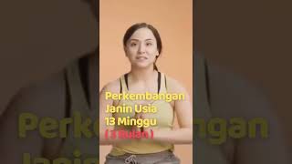 Bunda jarang yang tahu! Perkembangan janin usia 13 minggu (3 bulan) II Ruang Sehat Bunda Bunda jarang yang tahu! Perkembangan janin usia 13 minggu (3 bulan) II Ruang Sehat Bunda